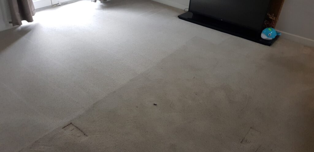 carpet cleaning keighley