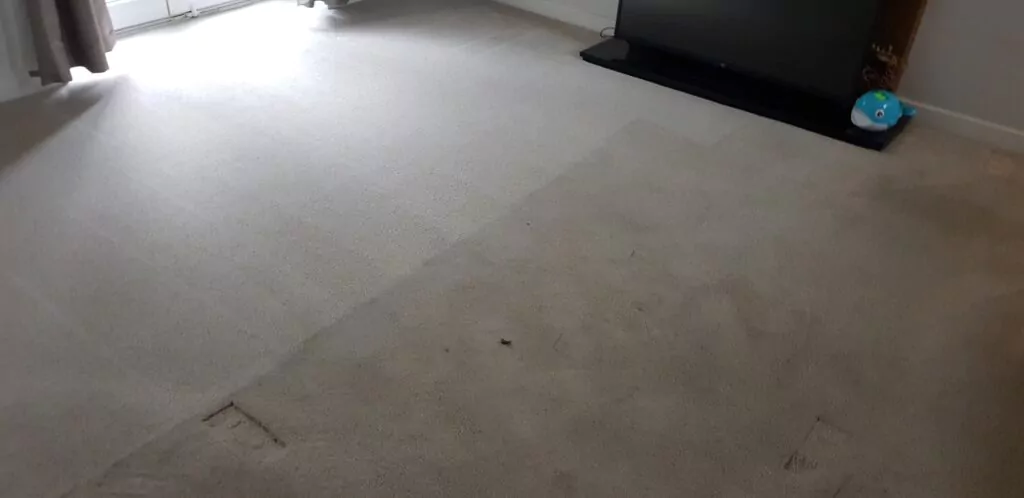 carpet cleaning yeadon
