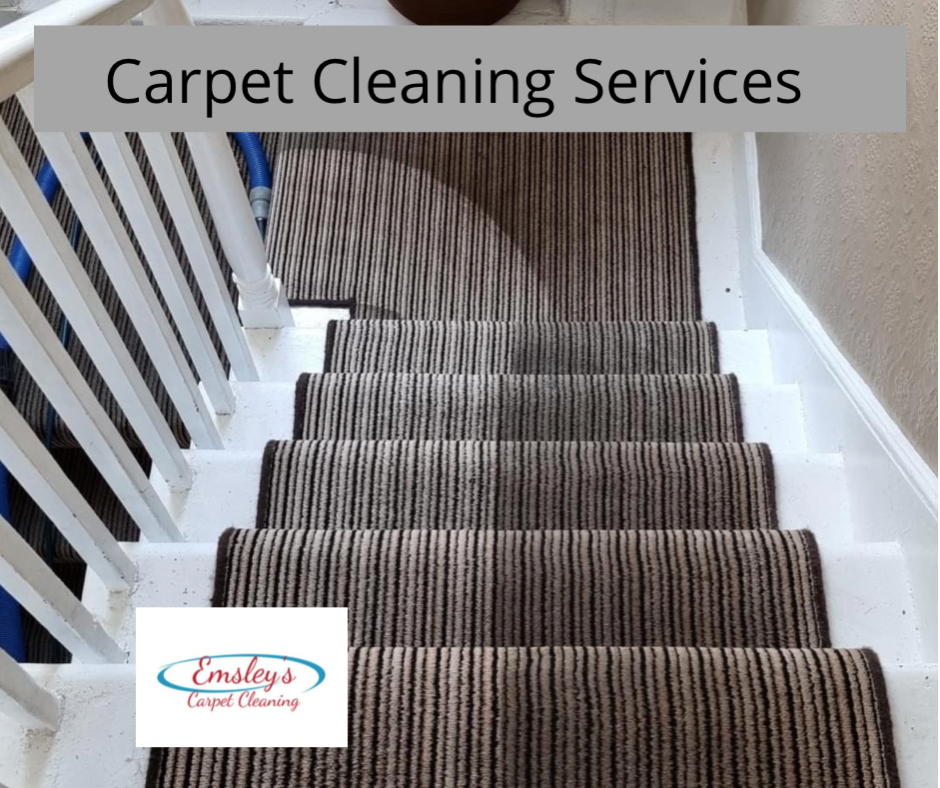 carpet cleaner near me