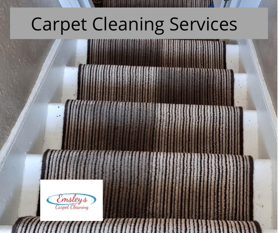 carpet cleaner near me